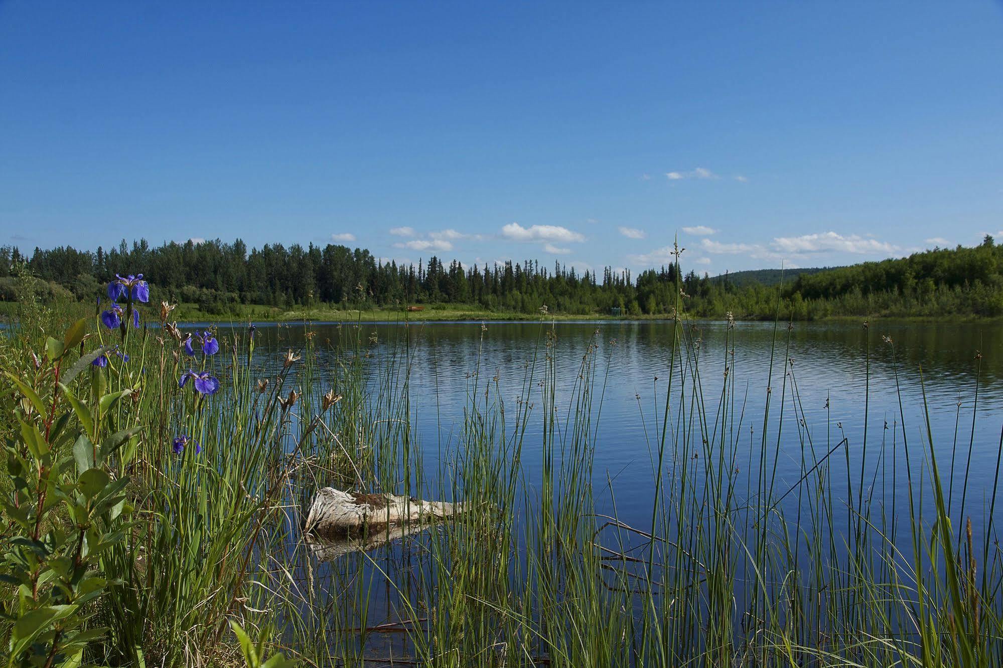 Wedgewood Resort Фэрбанкс Экстерьер фото