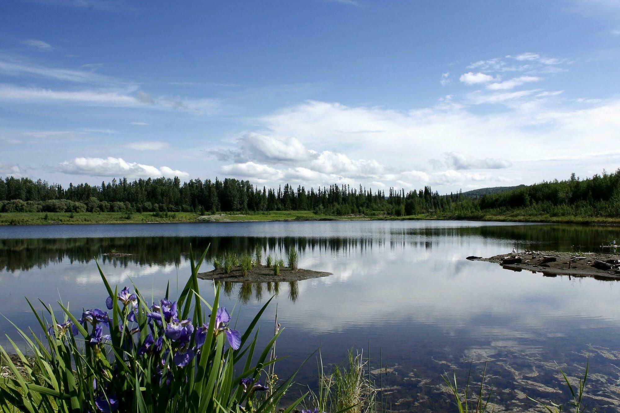 Wedgewood Resort Фэрбанкс Экстерьер фото